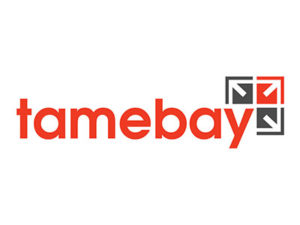 tamebay logo