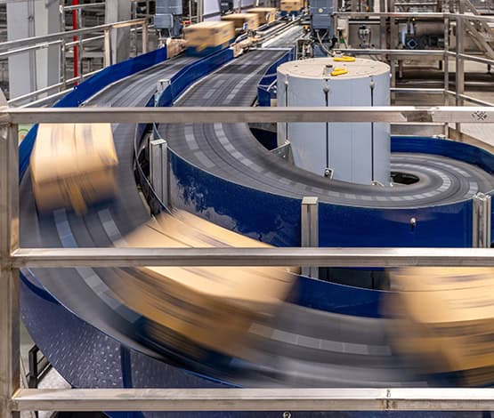 Automated label generation